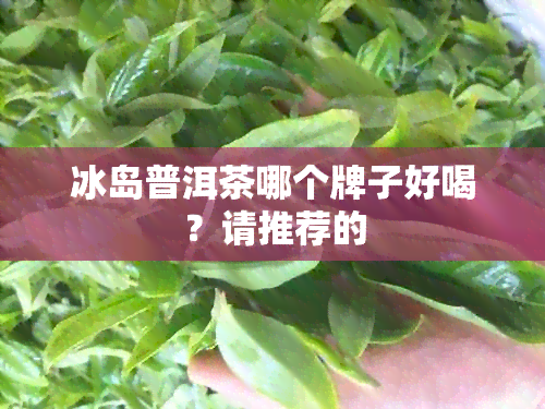 冰岛普洱茶哪个牌子好喝？请推荐的