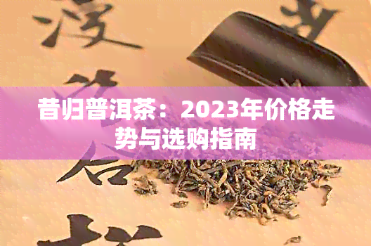 昔归普洱茶：2023年价格走势与选购指南