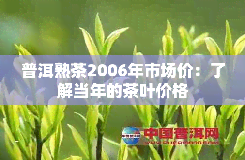 普洱熟茶2006年市场价：了解当年的茶叶价格