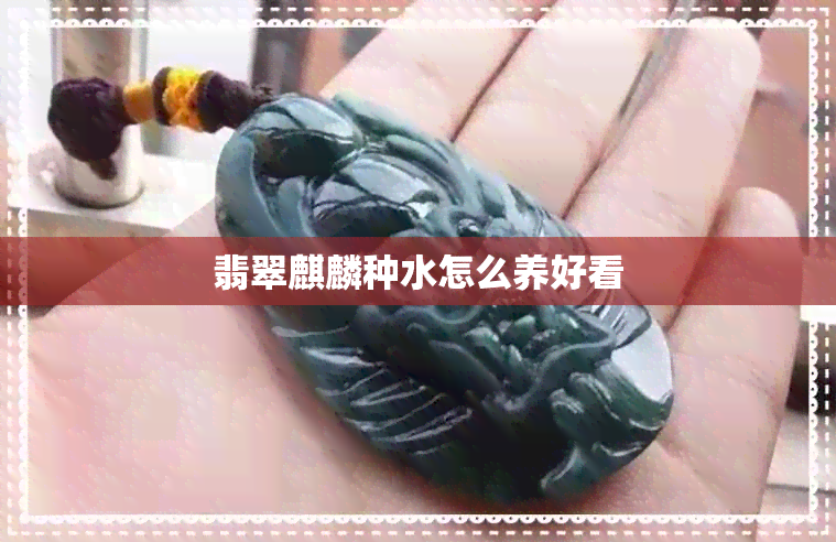 翡翠麒麟种水怎么养好看