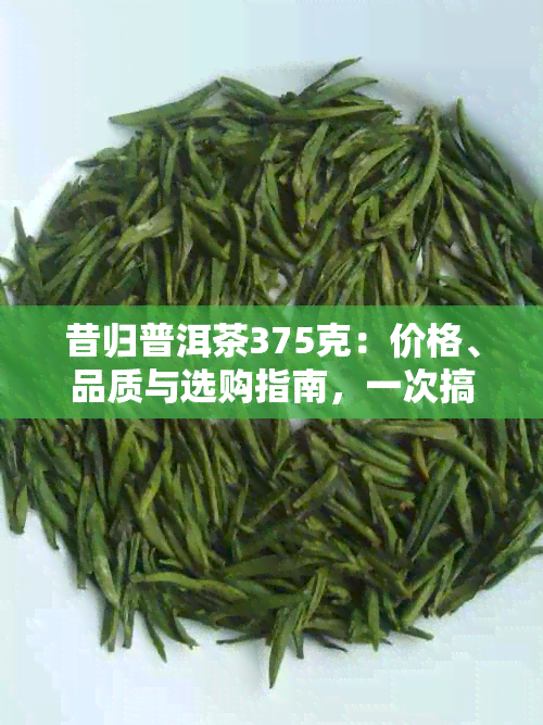 昔归普洱茶375克：价格、品质与选购指南，一次搞定！