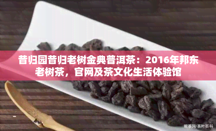 昔归园昔归老树金典普洱茶：2016年邦东老树茶，官网及茶文化生活体验馆