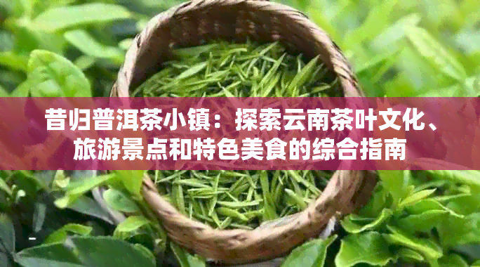 昔归普洱茶小镇：探索云南茶叶文化、旅游景点和特色美食的综合指南