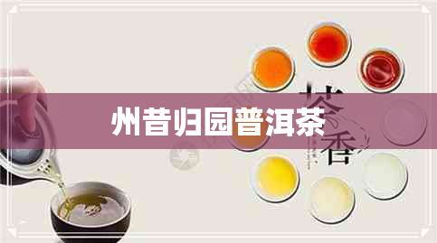 州昔归园普洱茶