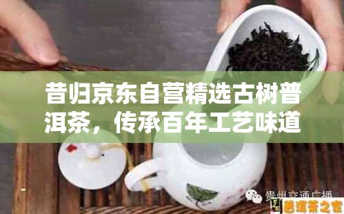 昔归京东自营精选古树普洱茶，传承百年工艺味道