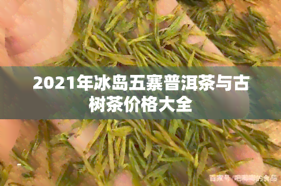 2021年冰岛五寨普洱茶与古树茶价格大全