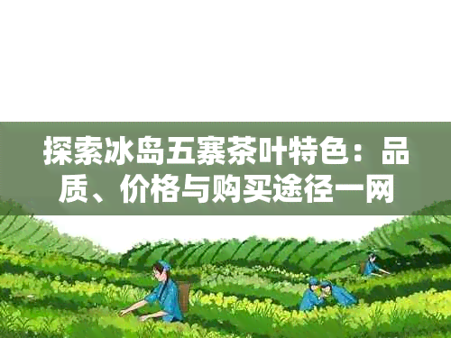 探索冰岛五寨茶叶特色：品质、价格与购买途径一网打尽