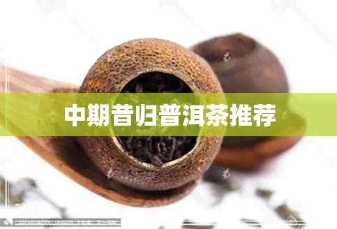 中期昔归普洱茶推荐