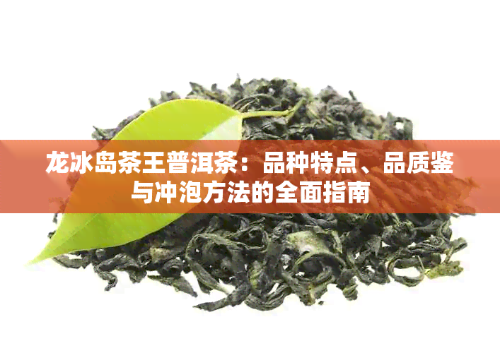 龙冰岛茶王普洱茶：品种特点、品质鉴与冲泡方法的全面指南