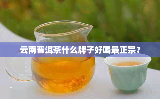 云南普洱茶什么牌子好喝最正宗？