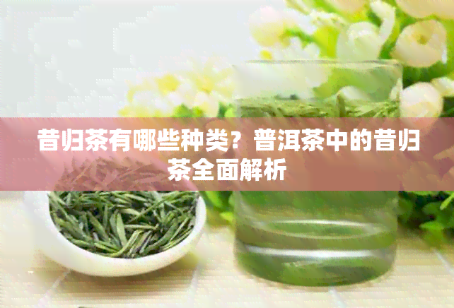 昔归茶有哪些种类？普洱茶中的昔归茶全面解析