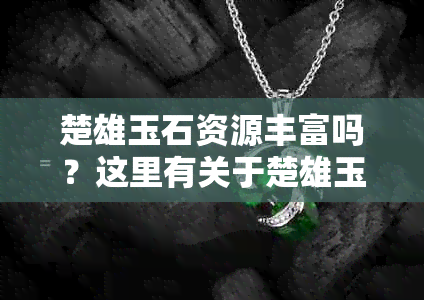 楚雄玉石资源丰富吗？这里有关于楚雄玉石的详细介绍和获取方式。