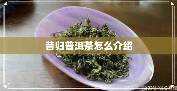 昔归普洱茶怎么介绍