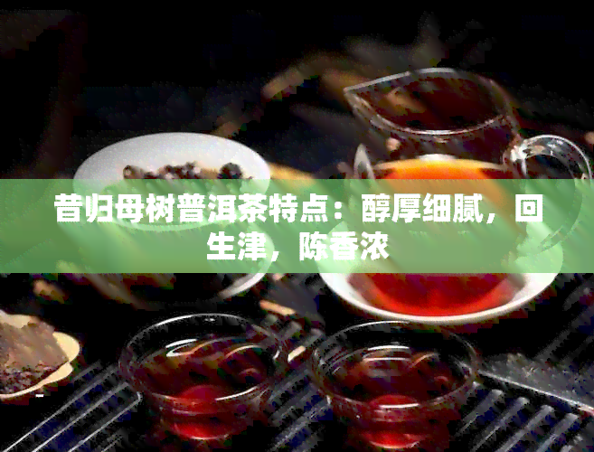 昔归母树普洱茶特点：醇厚细腻，回生津，陈香浓