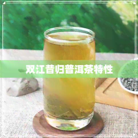 双江昔归普洱茶特性