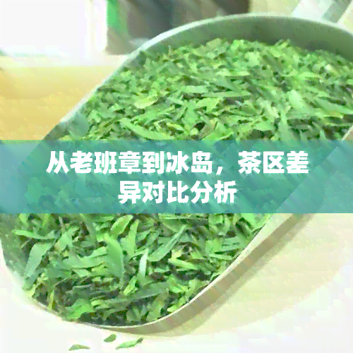 从老班章到冰岛，茶区差异对比分析