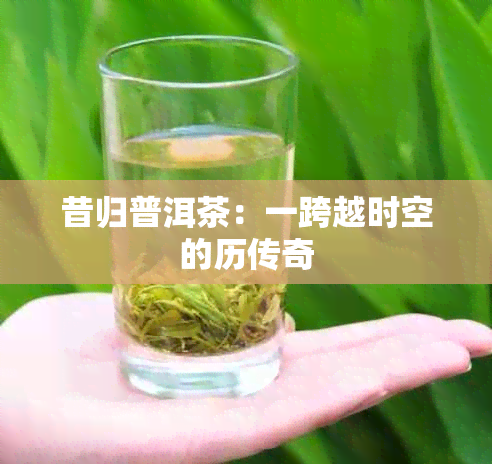 昔归普洱茶：一跨越时空的历传奇