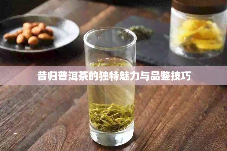 昔归普洱茶的独特魅力与品鉴技巧