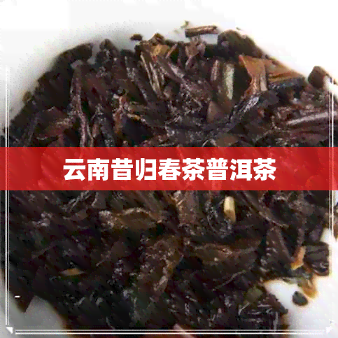 云南昔归春茶普洱茶