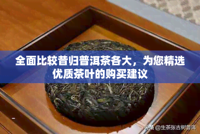 全面比较昔归普洱茶各大，为您精选优质茶叶的购买建议