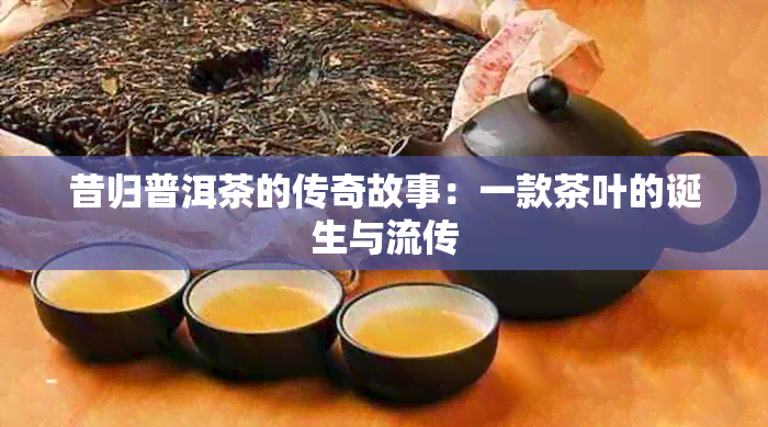 昔归普洱茶的传奇故事：一款茶叶的诞生与流传