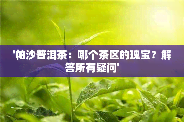 '帕沙普洱茶：哪个茶区的瑰宝？解答所有疑问'