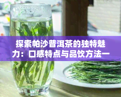 探索帕沙普洱茶的独特魅力：口感特点与品饮方法一应俱全