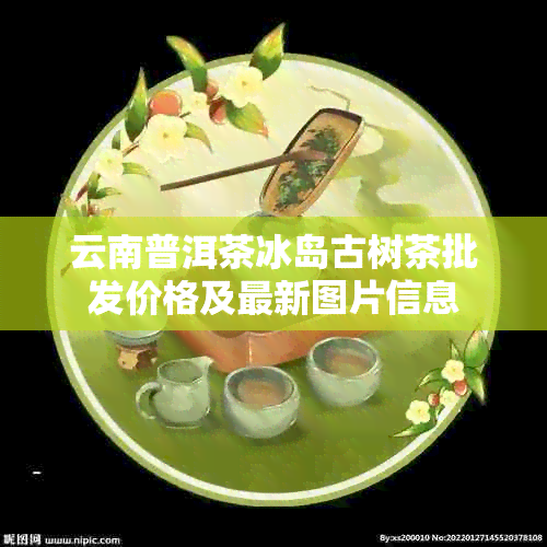 云南普洱茶冰岛古树茶批发价格及最新图片信息