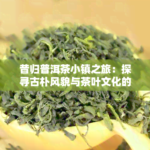 昔归普洱茶小镇之旅：探寻古朴风貌与茶叶文化的完美融合