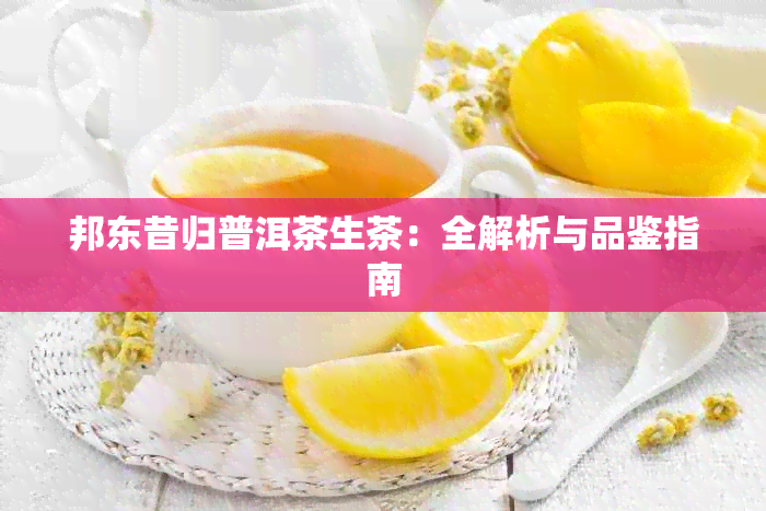 邦东昔归普洱茶生茶：全解析与品鉴指南