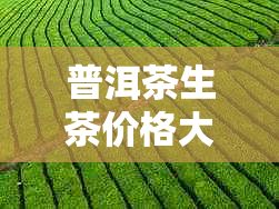 普洱茶生茶价格大全：昔归茶及其他品种的市场行情解析