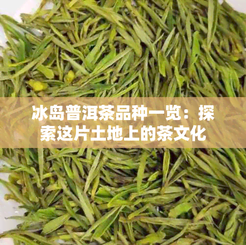 冰岛普洱茶品种一览：探索这片土地上的茶文化