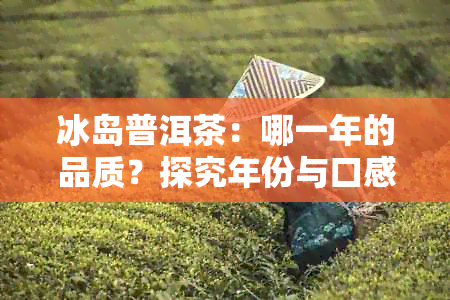 冰岛普洱茶：哪一年的品质？探究年份与口感的关系