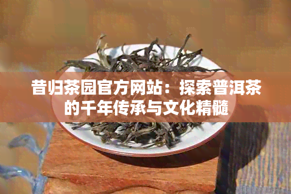 昔归茶园官方网站：探索普洱茶的千年传承与文化精髓