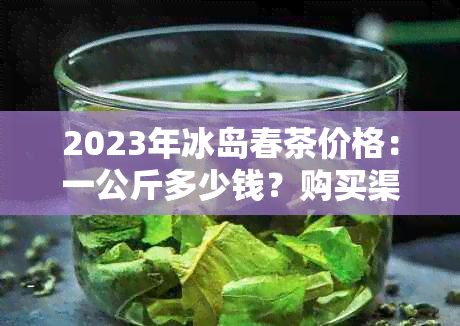 2023年冰岛春茶价格：一公斤多少钱？购买渠道、品质和口感分析