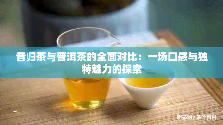 昔归茶与普洱茶的全面对比：一场口感与独特魅力的探索