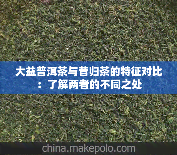 大益普洱茶与昔归茶的特征对比：了解两者的不同之处