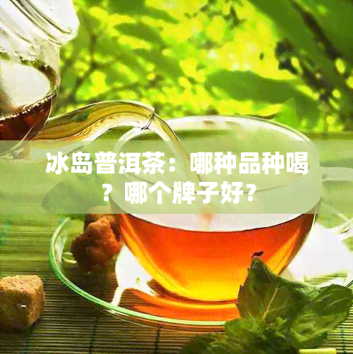 冰岛普洱茶：哪种品种喝？哪个牌子好？