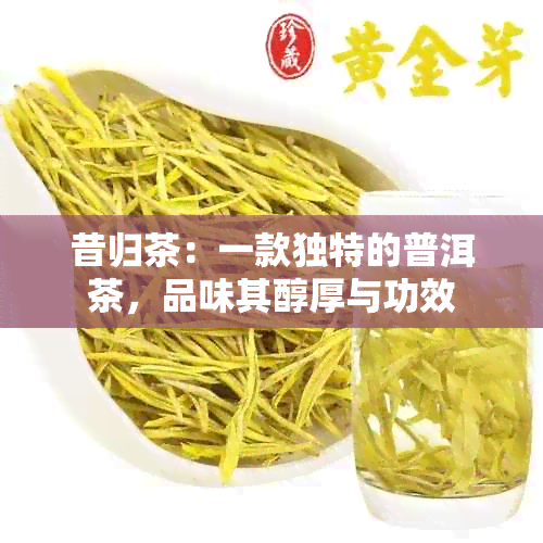 昔归茶：一款独特的普洱茶，品味其醇厚与功效