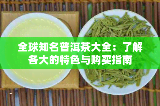 全球知名普洱茶大全：了解各大的特色与购买指南