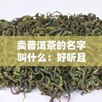 卖普洱茶的名字叫什么：好听且知名的汇总