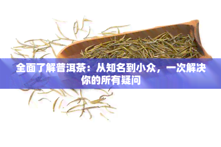 全面了解普洱茶：从知名到小众，一次解决你的所有疑问