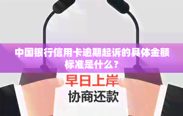 中国银行信用卡逾期起诉的具体金额标准是什么？