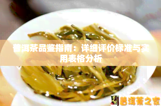 普洱茶品鉴指南：详细评价标准与实用表格分析