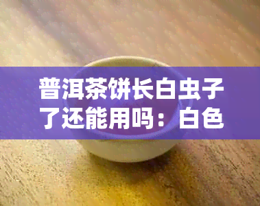 普洱茶饼长白虫子了还能用吗：白色虫子是否影响茶叶品质与安全性？