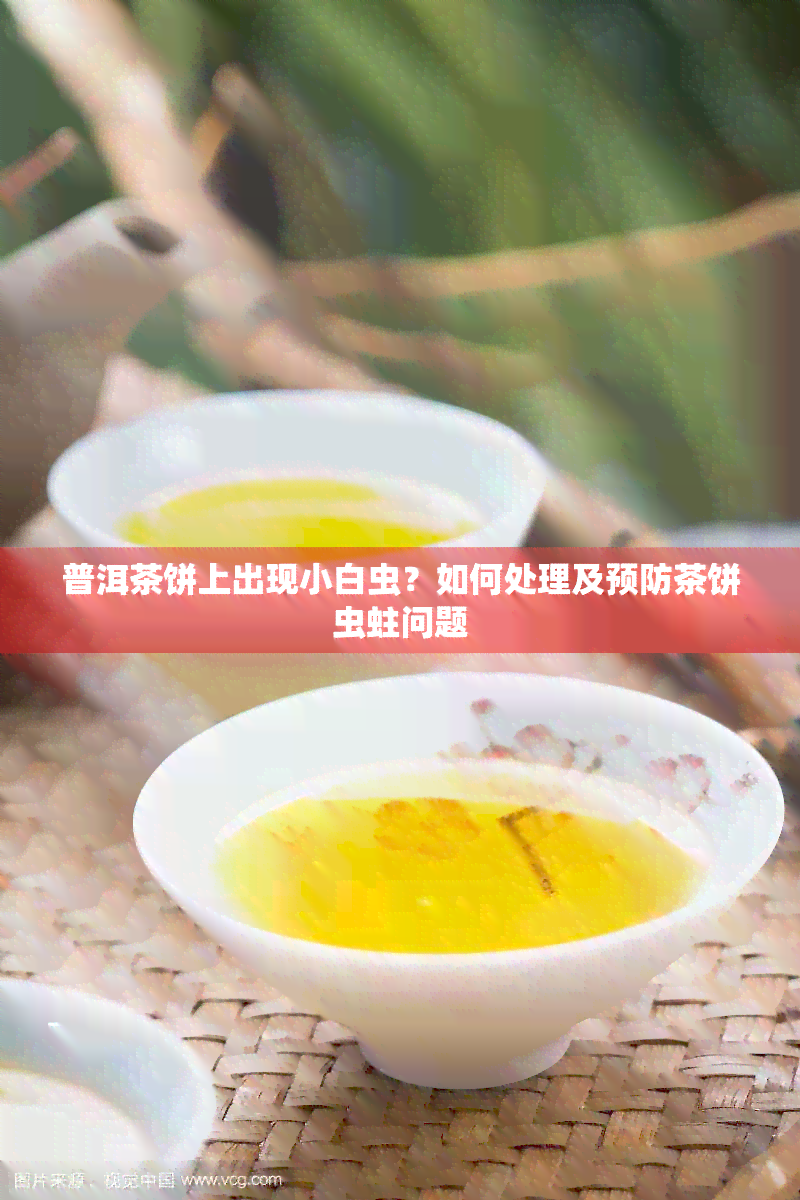 普洱茶饼上出现小白虫？如何处理及预防茶饼虫蛀问题