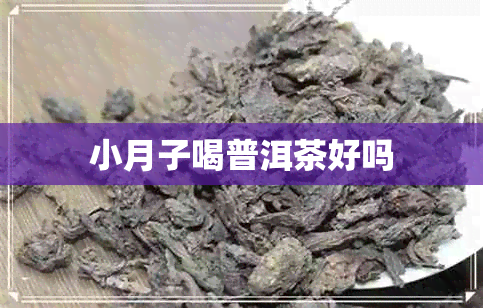 小月子喝普洱茶好吗