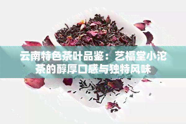 云南特色茶叶品鉴：艺福堂小沱茶的醇厚口感与独特风味