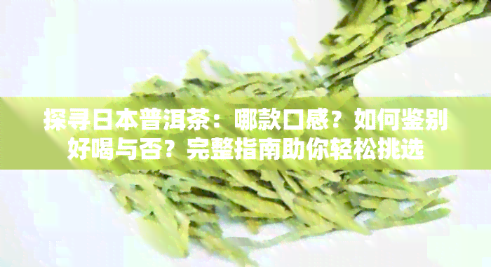 探寻普洱茶：哪款口感？如何鉴别好喝与否？完整指南助你轻松挑选