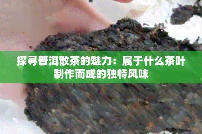 探寻普洱散茶的魅力：属于什么茶叶制作而成的独特风味